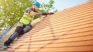 Best Roof Maintenance and Cleaning  in Spring Arbor, MI