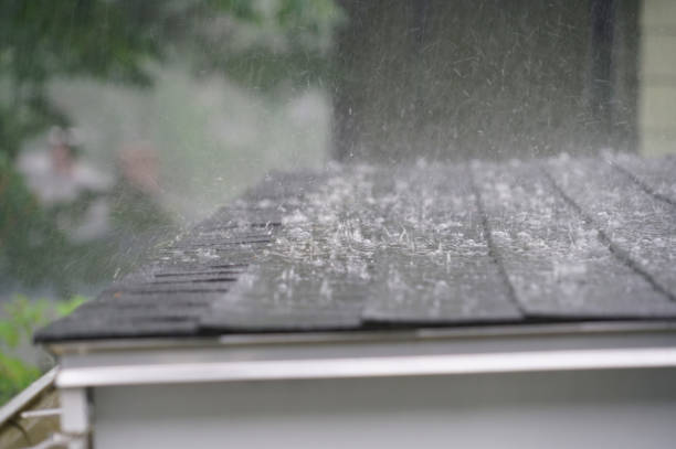 Best Metal Roofing Installation  in Spring Arbor, MI
